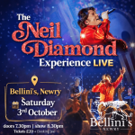 Neil Diamond Experience (1)