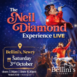 Neil Diamond Experience (1)
